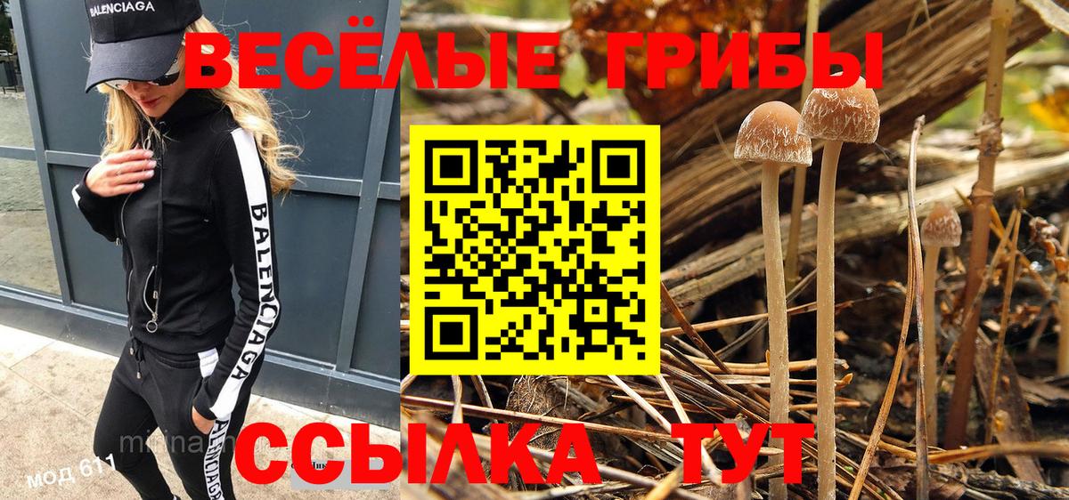 Псилоцибиновые грибы прущие грибы Златоуст