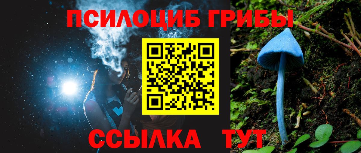Галлюциногенные грибы Cubensis  Псилоцибиновые грибы Psilocybe  Вход с VPN  Златоуст 