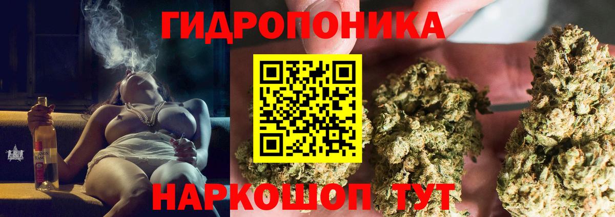 Конопля SATIVA & INDICA  Бошки Шишки тримм  Вход с VPN  Марихуана планчик  Златоуст 